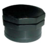 Cap BSP Female (7)