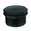 Plug BSP Male (7)