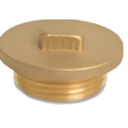 1 1/2" Brass Plug