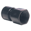 Female Adaptor BSP (6)