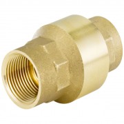 4" Spring Non Return Check Valve  