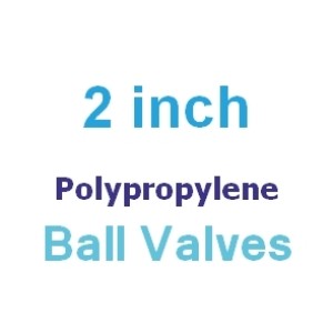 Polypropylene 2 inch Valves Polypropylene 2 inch Valves