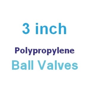 Polypropylene 3 inch Valves